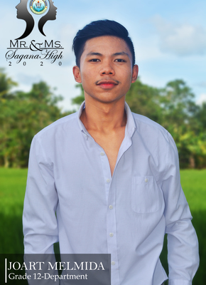 Grade 12 joart melmida