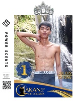 A1