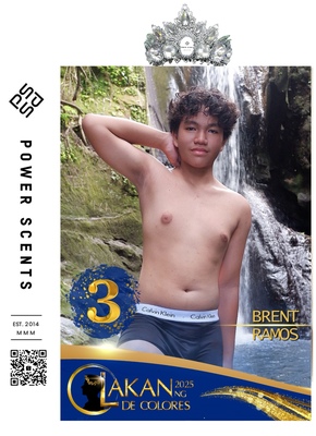 A3