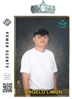A3